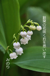 鈴蘭 俳句.jpg