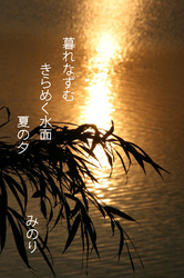 kitameite.jpg